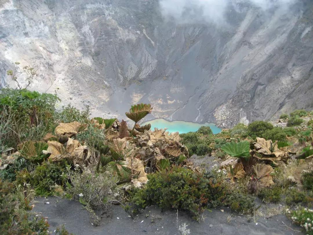 揭秘火山版最新更新，探索火山活动的独特奥秘与特点